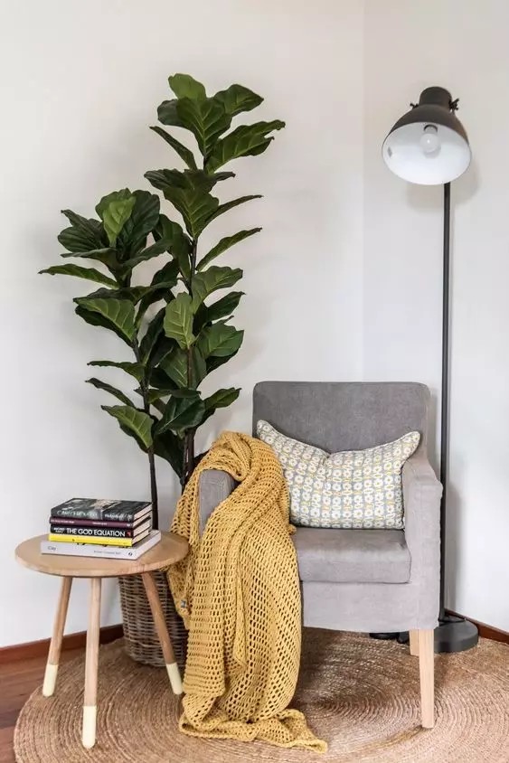 圖片來源：Pinterest