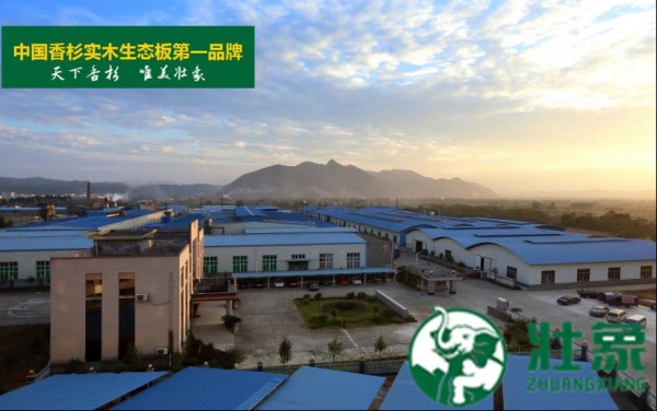 中国十大生态板壮象：给儿童房装修的几个建议