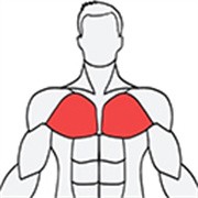 musclewiki肌肉百科