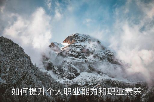 如何提升个人职业能力和职业素养