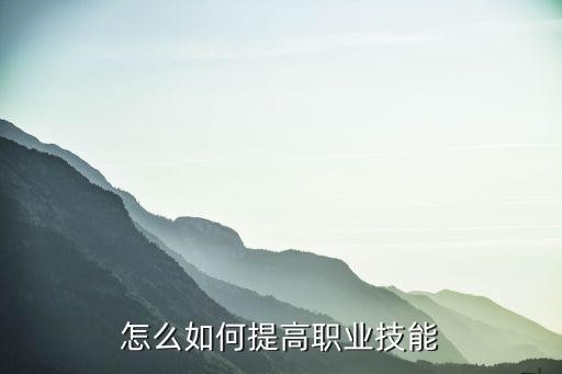 怎么如何提高职业技能