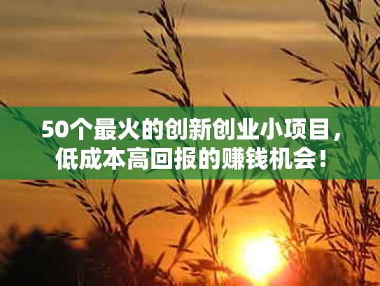 50个最火的创新创业小项目，低成本高回报的赚钱机会！
