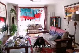家政阿姨教你如何清理地毯,方便简单又干净视频封面
