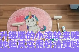 地毯其实非常容易清理,我的办法就简单粗暴,嘎嘎好用,棒棒哒视频封面