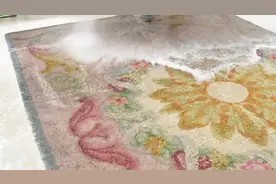 原来清洗地毯是这么简单的一件事,就这么一拖一冲,十分干净视频封面
