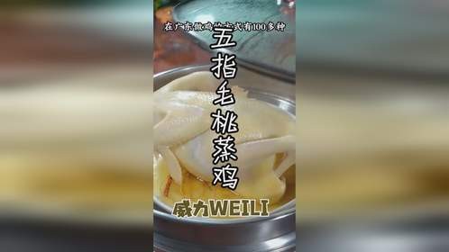 五指毛桃蒸鸡丨鸡肉嫩滑，精华都在汁水里！