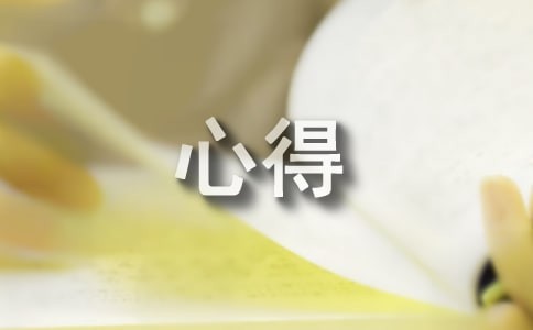关于打扫卫生的心得