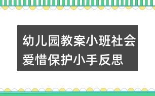 幼儿园教案小班社会爱惜保护小手反思