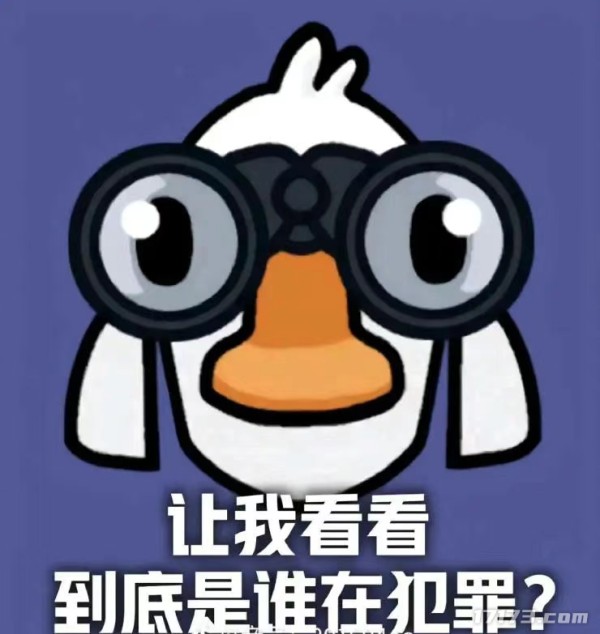 图片 12.png