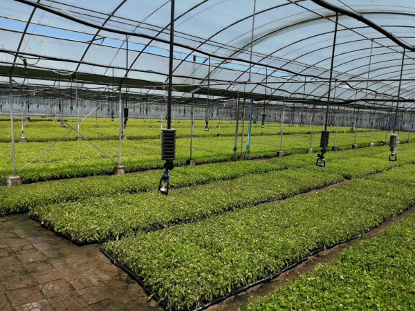 新型农业节水灌溉技术主要有哪些？