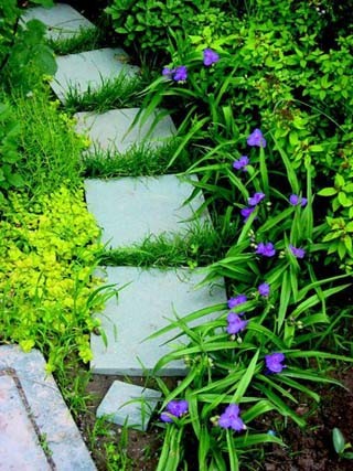 花园小路