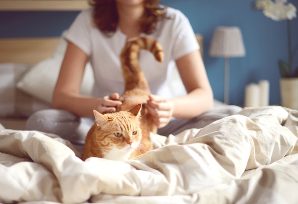 清理猫毛小妙招 吸尘器品牌推荐