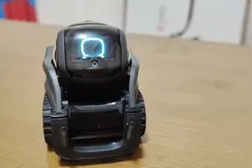 vector机器人日常生活视频封面
