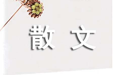 你房间的样子,就是你生活的样子散文