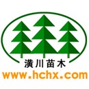 河南开元园林生态实业有限公