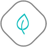 生活健康养生小妙招查询