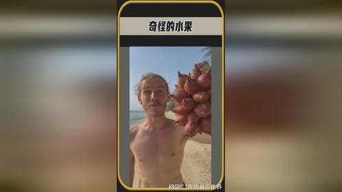 有些奇怪的水果可能会让你大开眼界，有籽的香蕉毛毛虫一样的水果