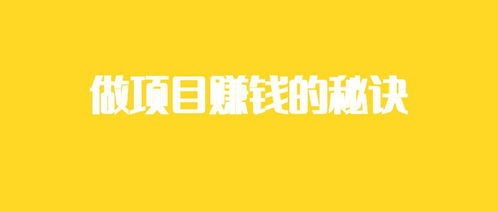 新年期间什么项目赚钱