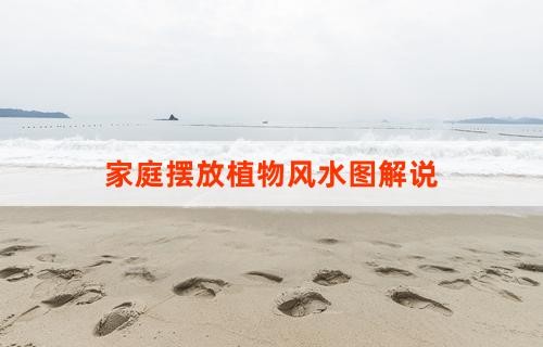 家庭摆放植物风水图解说