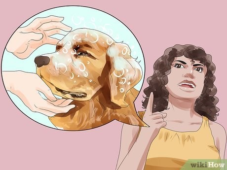 Step 3 把任务分等级，分清什么最重要。