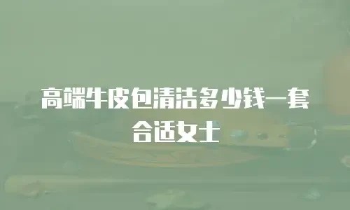 高端牛皮包清洁多少钱一套合适女士