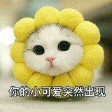 啦啦啦啦啦