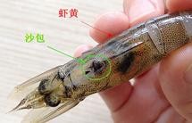 技术贴：高清大图教你分辨沙包虾线虾黄虾筋