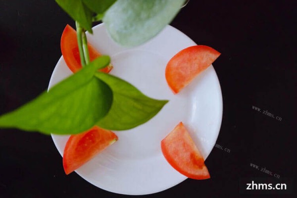 在日常生活中，水果蔬菜搭配食用。那么西红柿番茄炒着吃怎么样？