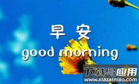 每日天气预报早安心语软件