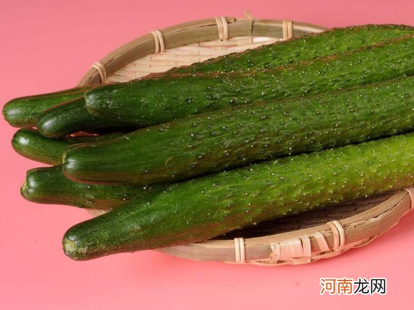 低脂低热量食物一览表