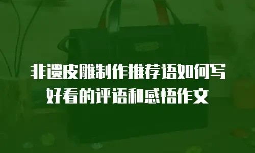 非遗皮雕制作推荐语如何写好看的评语和感悟作文