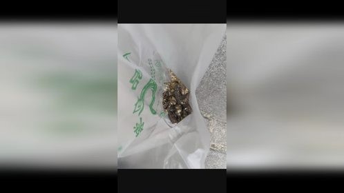 这届网友超勇，捡狗屎扔霸凌者门口