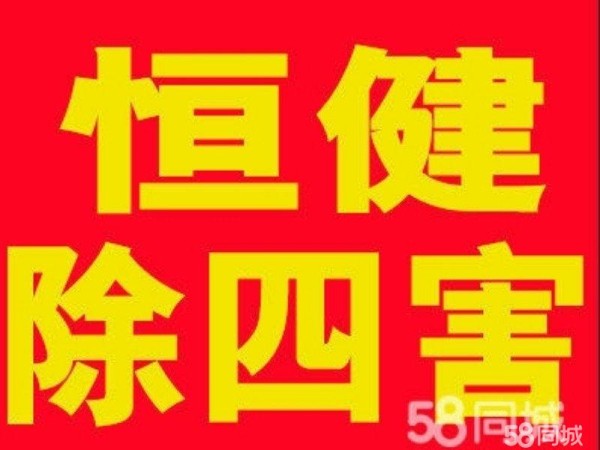 店主头像
