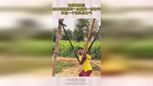 确实要破防，成本两根树杈一条皮绳一根竹竿，外加一个馒头的力气