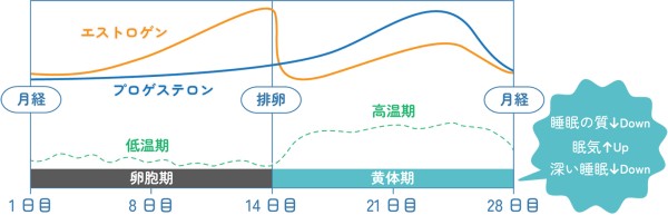 図表・イメージ：月経周期に関わる女性ホルモン変動と睡眠