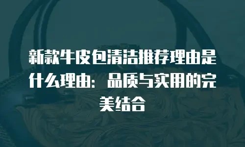 新款牛皮包清洁推荐理由是什么理由：品质与实用的完美结合