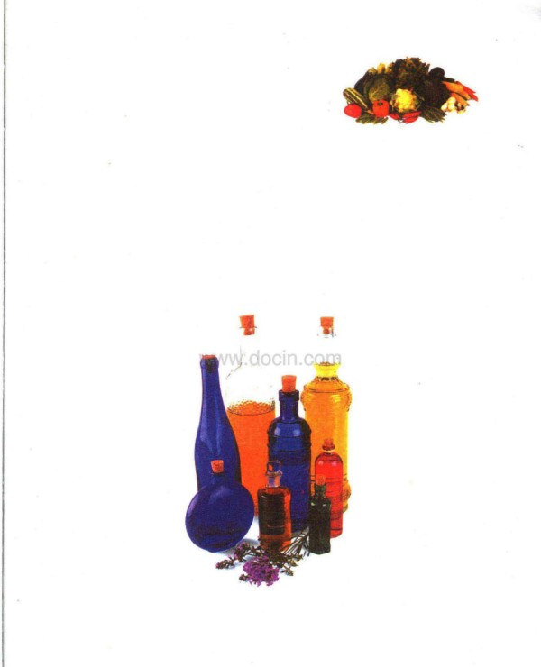 最有用的四种自然疗法(马克.埃文斯).pdf_第3页