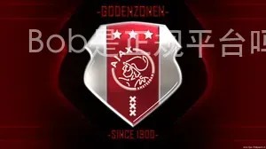 Bob是正规平台吗