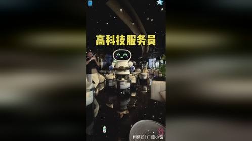 高科技服务员