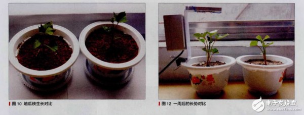 如何自制植物生长灯_自制植物生长灯步骤