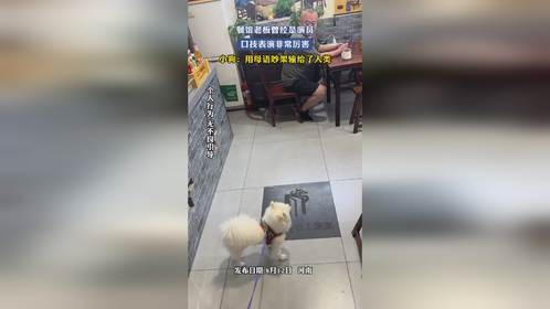 餐馆老板曾经是演员，口技表演非常厉害，小狗：用母语吵架输给了人类