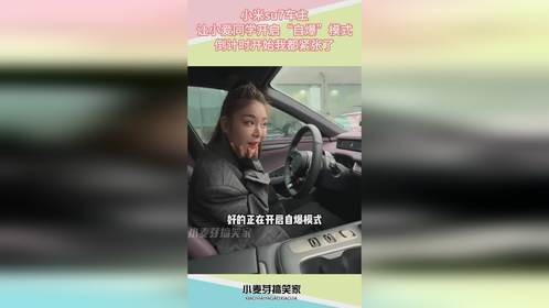 小米su7车主，让小爱同学开启“自爆”模式，倒计时结束后惊呆