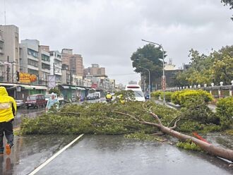 楊柳快閃 高雄1死屏東撤千人