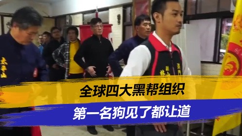 全球四大黑帮组织，洪门榜上有名，第一名狗见了都让道