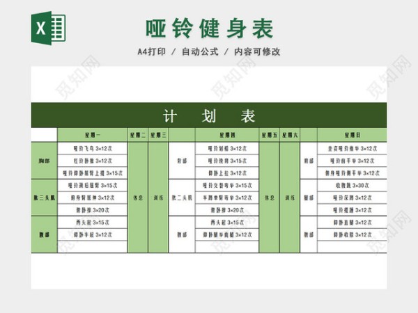 家用哑铃健身运动计划表EXCEL模板