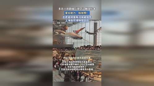 多名小孩翻越“禁区”触碰标本，志愿者称曾有活体被摸死。