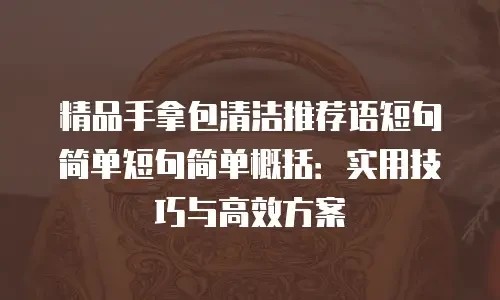 精品手拿包清洁推荐语短句简单短句简单概括：实用技巧与高效方案