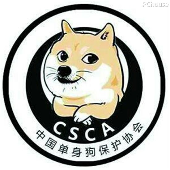 别说世界没有爱，这就送上七夕单身狗逆袭指南