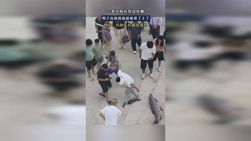 一条大鱼在岸边徘徊，男子直接将鱼敲晕带了上了