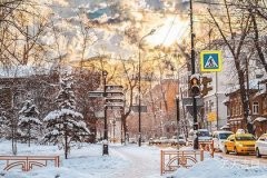 兰花阳光养护指南：兰花可以放在阳光下吗？